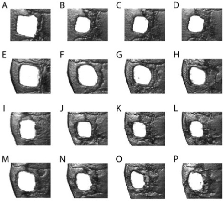 Figure 6