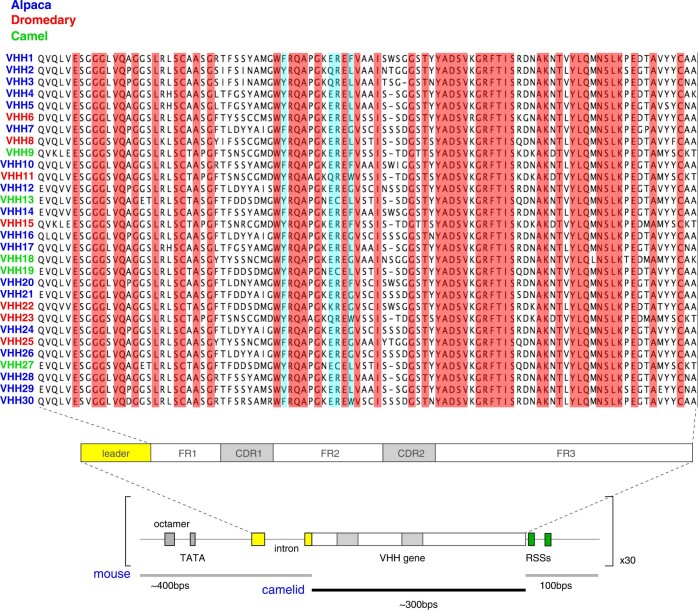 Extended Data Fig. 1