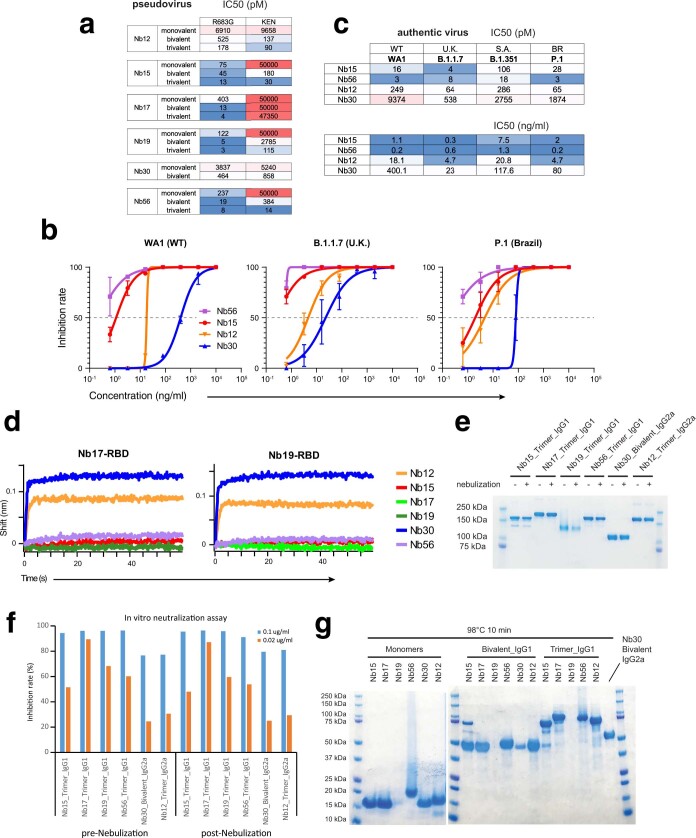 Extended Data Fig. 6