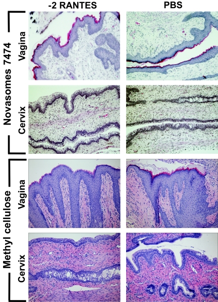 FIG. 7.