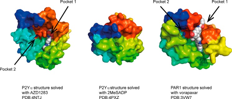 FIGURE 1.