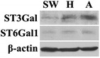 Fig. 5