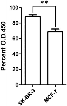 Fig. 6