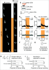 Figure 10.