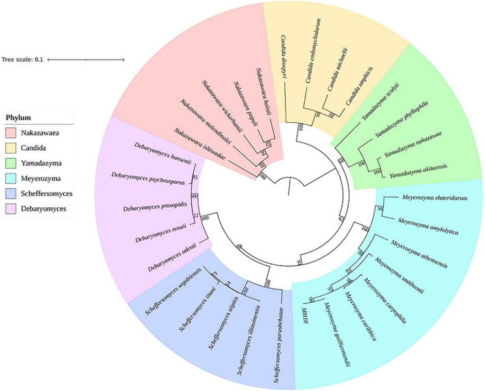 FIGURE 4