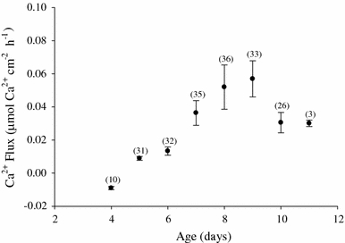 Fig. 6