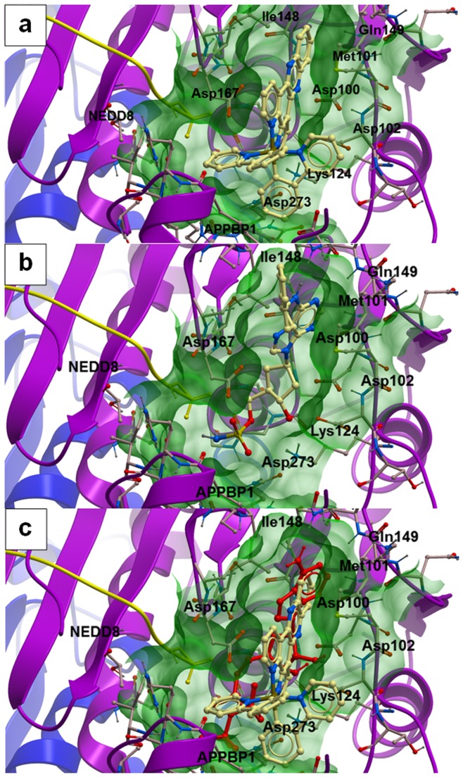 Figure 5