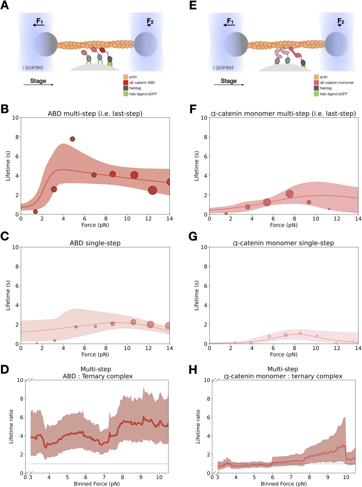 Figure 3—figure supplement 3.