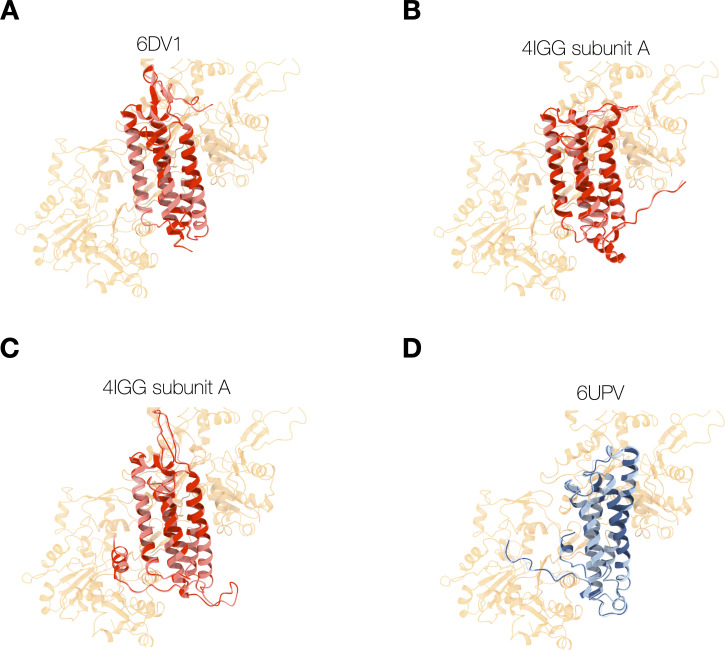 Figure 3—figure supplement 2.