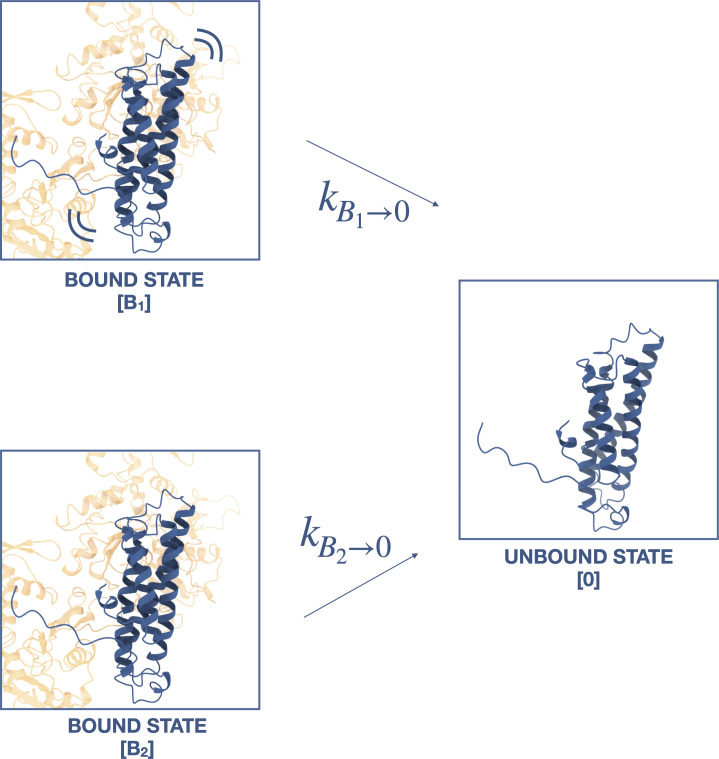 Figure 5—figure supplement 1.