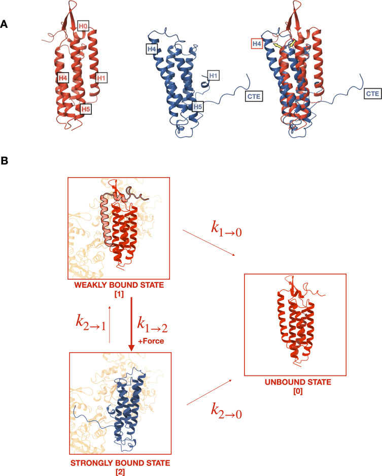 Figure 2.