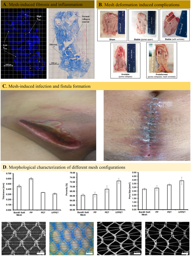 Fig. 3