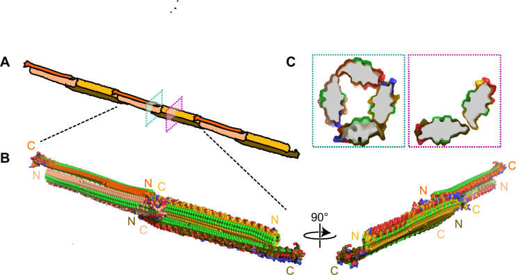 Figure 9.