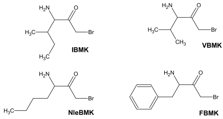 Fig. (1)