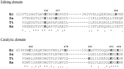 Fig. (10)