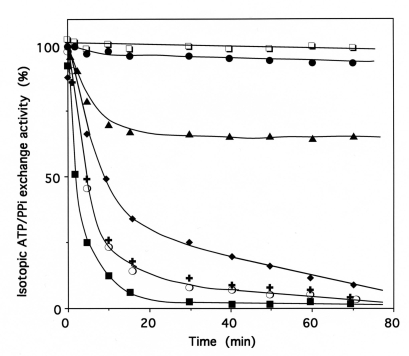 Fig. (8)