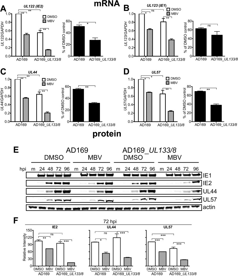 FIG 6