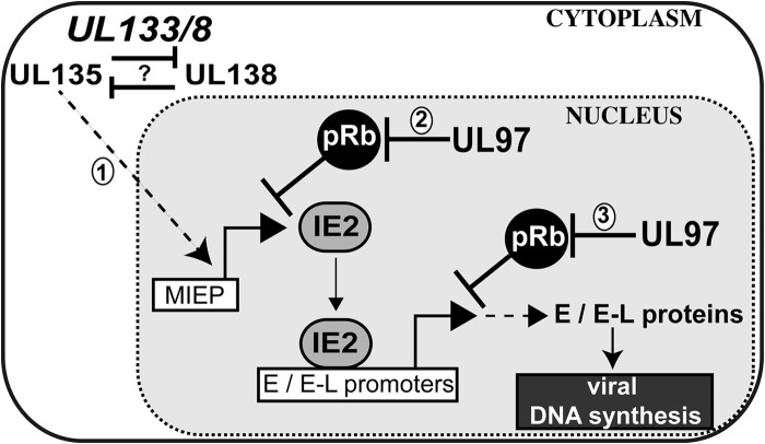 FIG 9