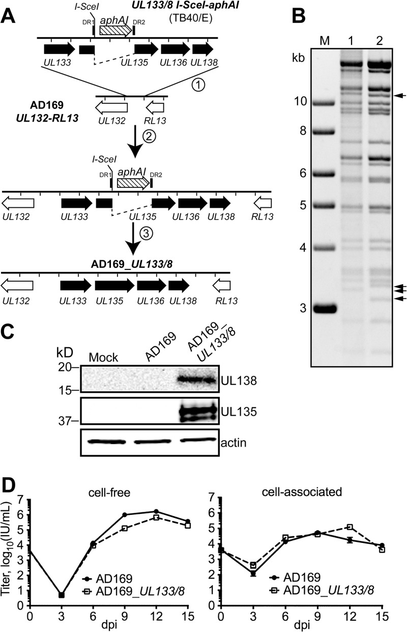 FIG 4