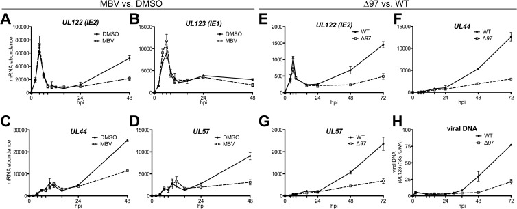 FIG 1