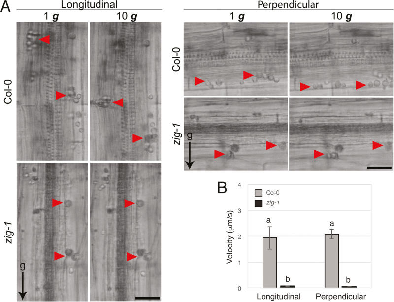 Fig. 3.