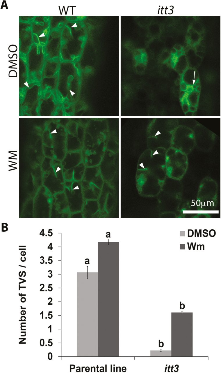 Fig. 9.