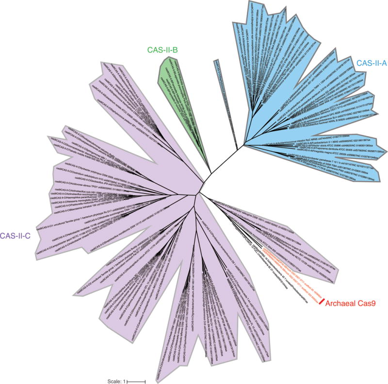 Extended Data Figure 8