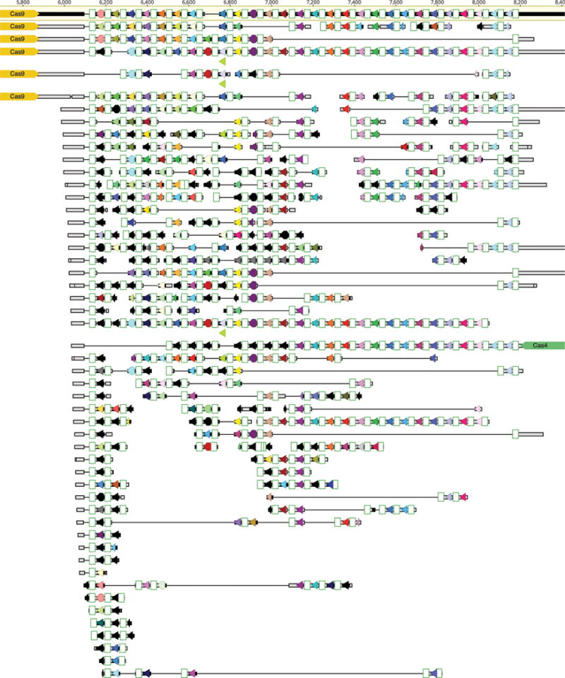 Extended Data Figure 6