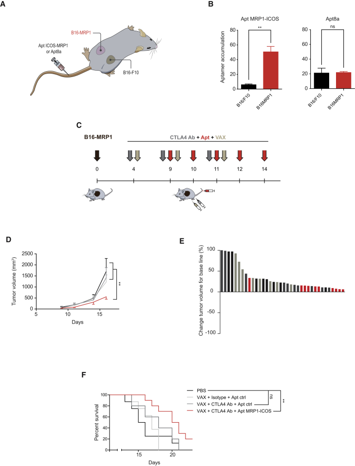 Figure 5