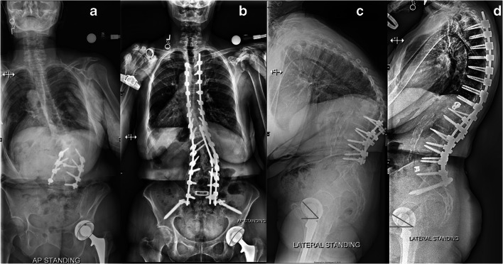 Fig. 5