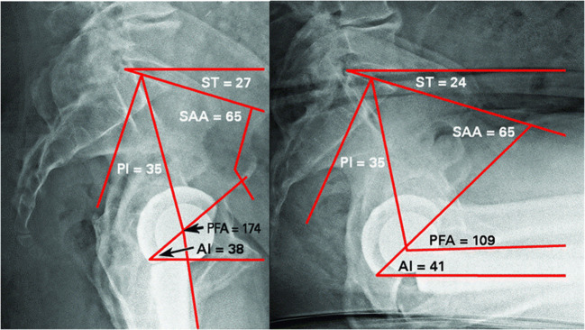 Fig. 3