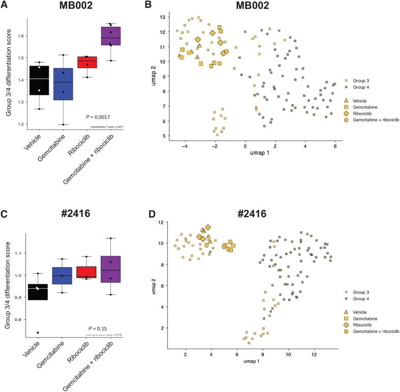 Figure 5. G3MB tumors treated with the combination of ribociclib and gemcitabine have a higher differentiation score and remain of the G3 subgroup. Analysis of the expression of genes in the G3/G4 differentiation pathways compared to those expressed in primary human MB tumors after RNA sequencing from PDOX MB002 (A and B) or mouse tumor #2416 (C and D) after treatment with vehicle, gemcitabine, ribociclib and combination of gemcitabine and ribociclib. A and C, G3/G4 differentiation score (Mann–Whitney test, gemcitabine + ribociclib versus vehicle). B and D, Clustering of the tumors with primary human G3 and G4 MB tumors.