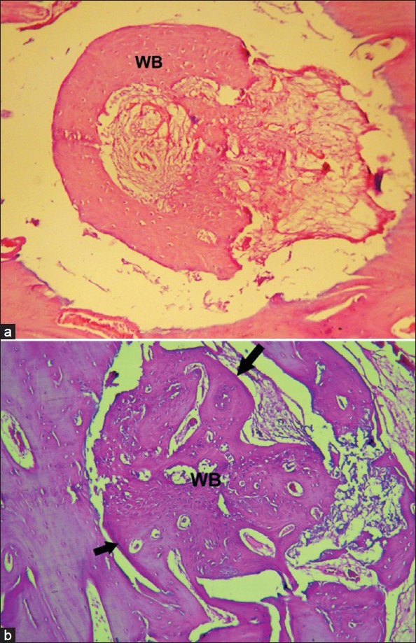 Figure 6(a,b)