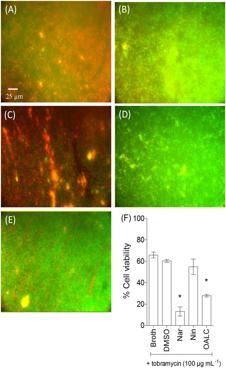 Fig 9