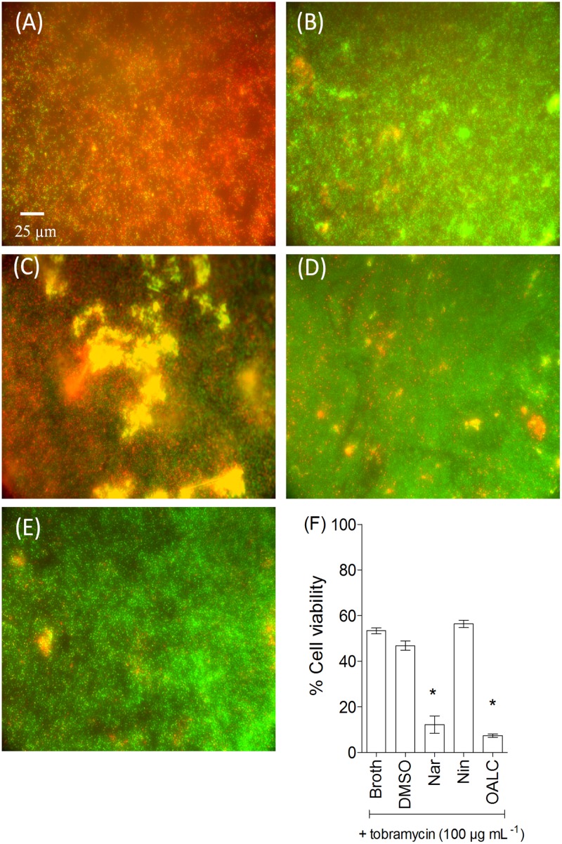 Fig 8