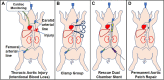 Fig 4