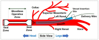 Fig 2