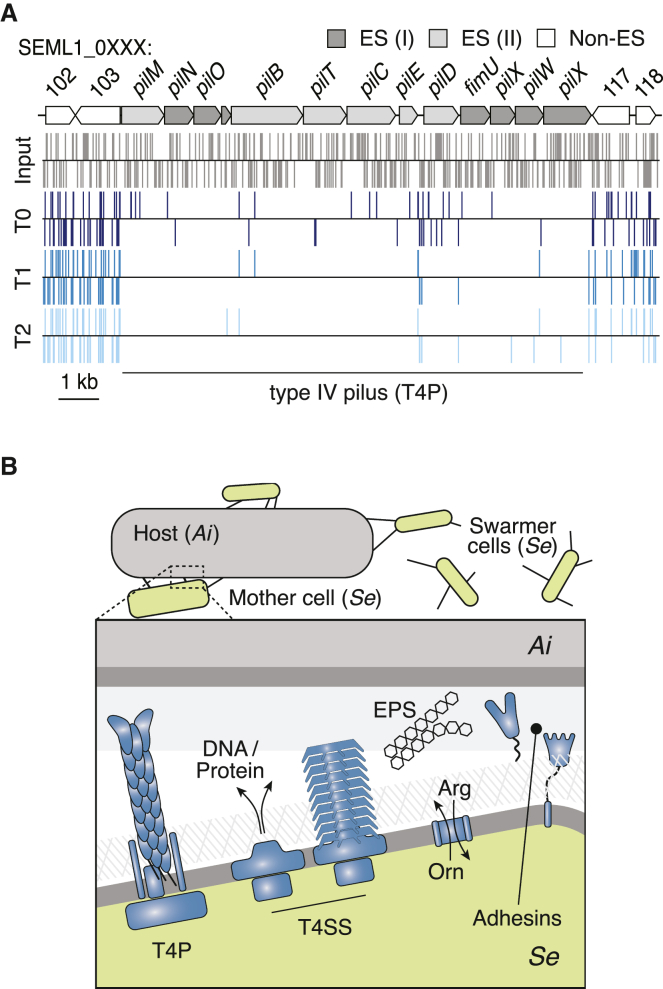 Figure 6