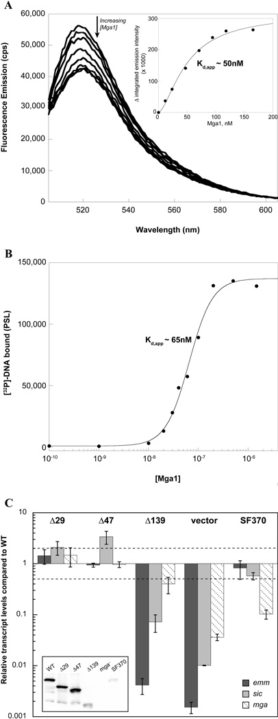 FIG. 6