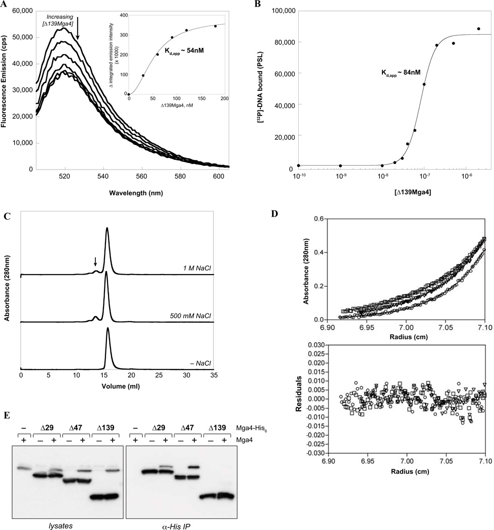 FIG. 4