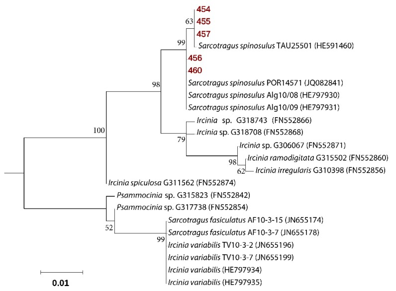 Figure 1