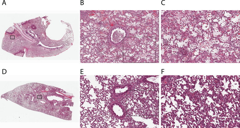 FIG 3