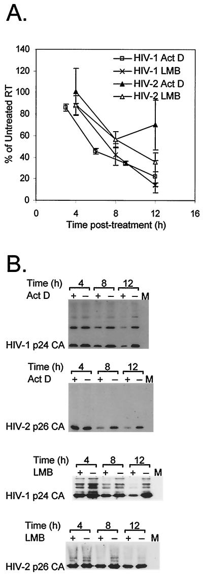 FIG. 5