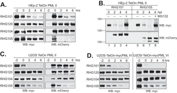 FIG 4