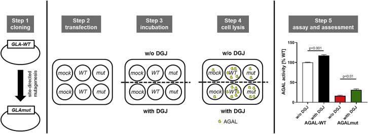 Figure 1