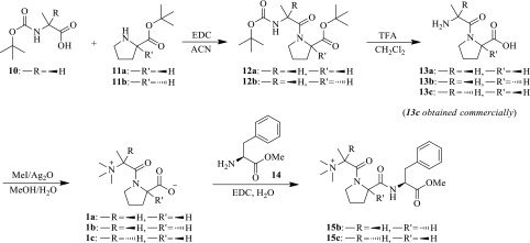 Scheme 2