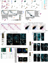 Extended Data Fig. 5