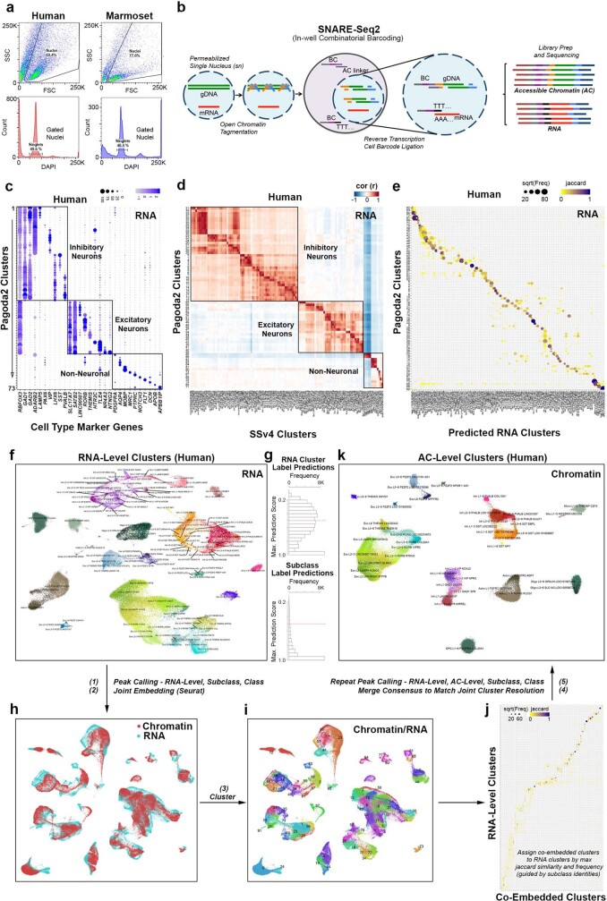 Extended Data Fig. 6