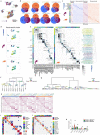 Extended Data Fig. 4