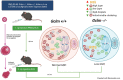 Graphical Abstract